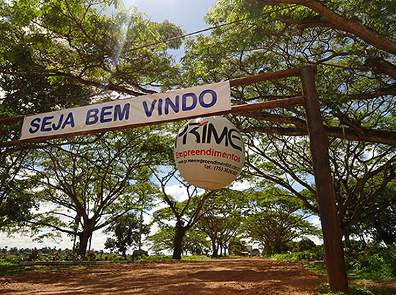 Caminho das Árvores - Conceição da Feira