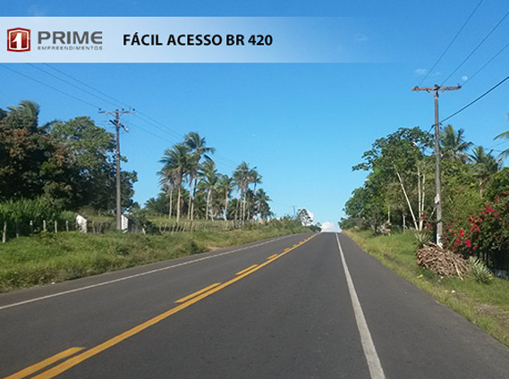 Caminho das Árvores - Cachoeira