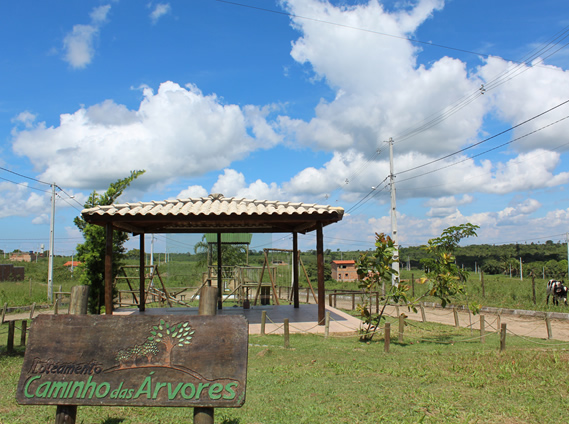 Caminho das Árvores - Cachoeira