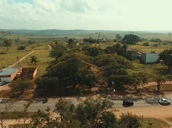 Caminho das Árvores - Conceição da Feira