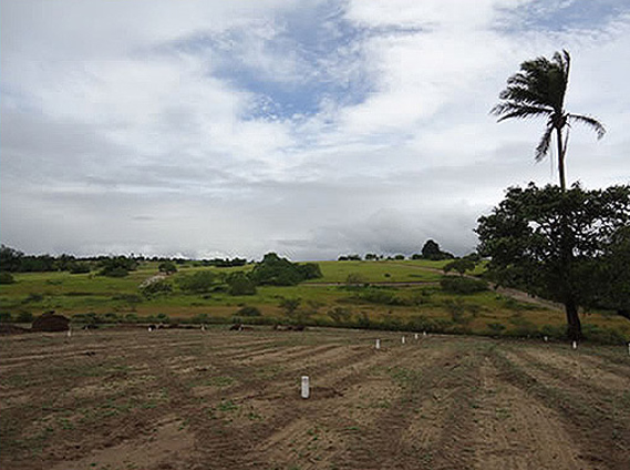 Villa Verde - São Gonçalo dos Campos