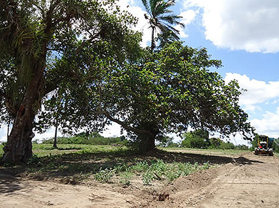 Villa Verde - São Gonçalo dos Campos